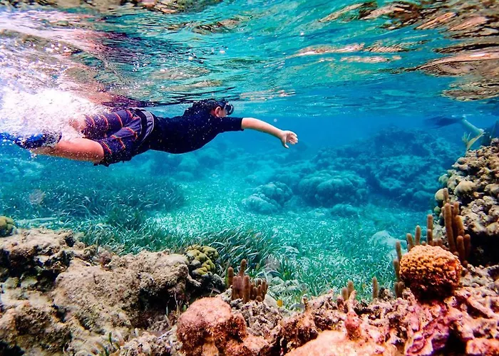 Club Star 5b Lejlighed